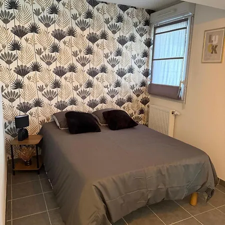 Le Cocon D'angel Apartman Toulouse